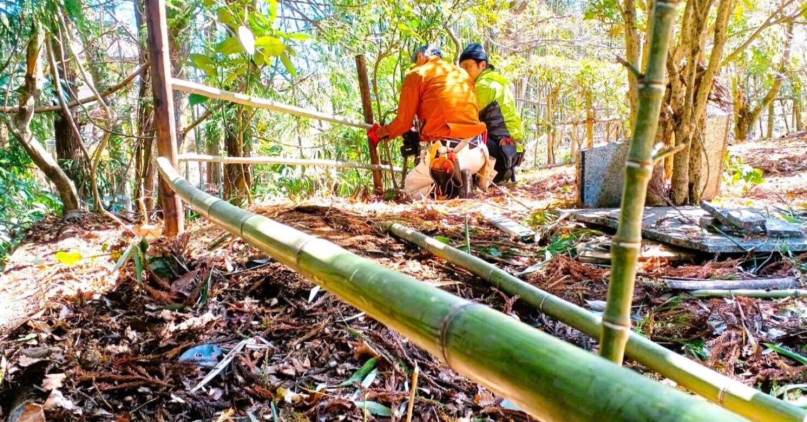 竹を用いた四つ目垣の修復作業